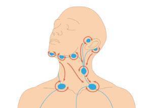 Infografik Lymphdrainage am Menschen Vorbehandlung am Hals