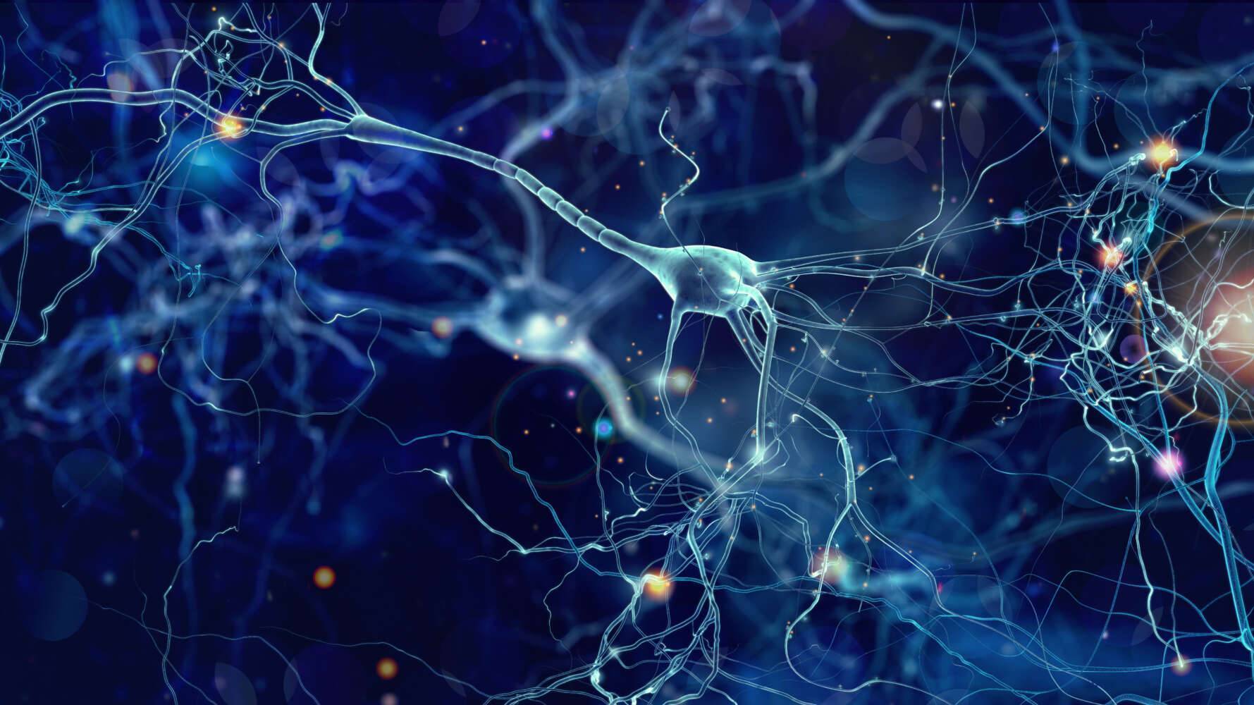 Neuroradiologie Was versteht man darunter